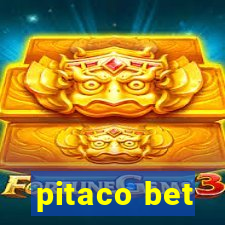 pitaco bet