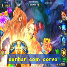 sonhar com corvo preto atacando