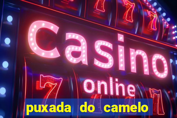 puxada do camelo jogo do bicho