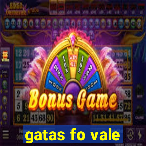 gatas fo vale