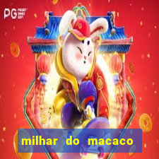 milhar do macaco que mais saem no jogo do bicho