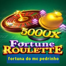 fortuna do mc pedrinho