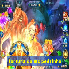 fortuna do mc pedrinho