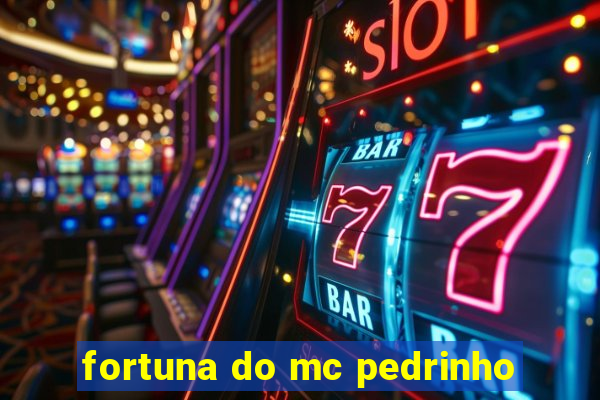 fortuna do mc pedrinho