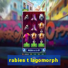 rabies t lagomorph