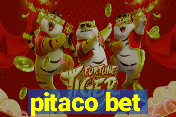 pitaco bet