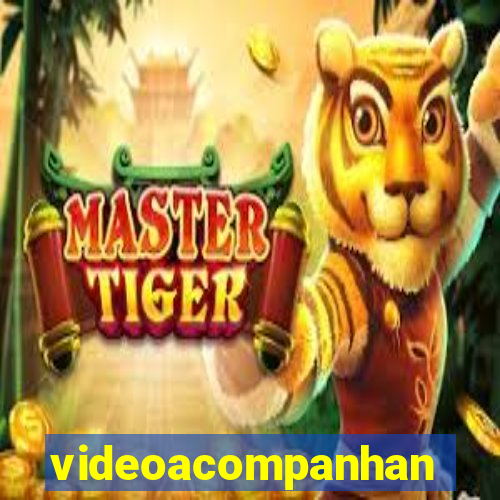 videoacompanhante