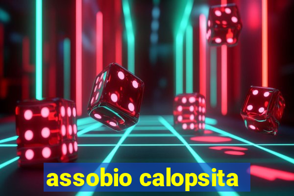 assobio calopsita