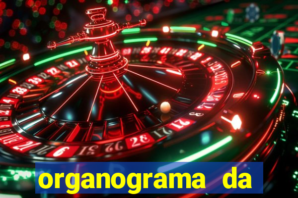 organograma da cacau show