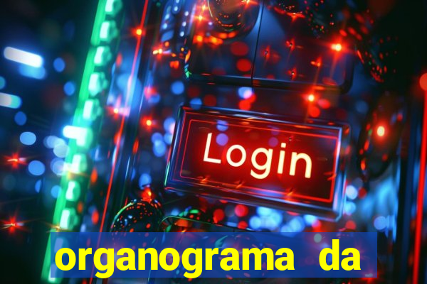 organograma da cacau show