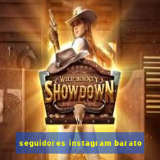 seguidores instagram barato