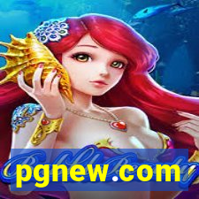 pgnew.com