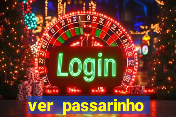 ver passarinho morto significado