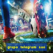 grupo telegram sao jose do rio preto