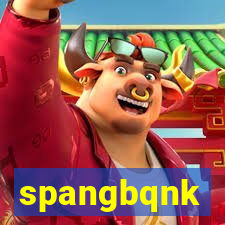 spangbqnk