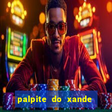 palpite do xande de hoje