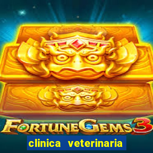 clinica veterinaria cuidar betim