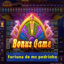 fortuna de mc pedrinho