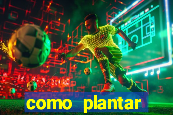 como plantar gergelim no vaso