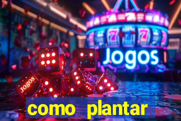 como plantar gergelim no vaso