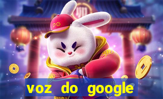 voz do google tradutor homem