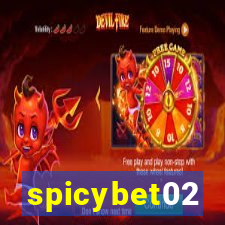 spicybet02