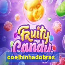 coelhinhadobrasil