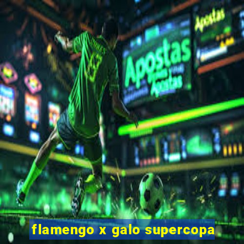 flamengo x galo supercopa