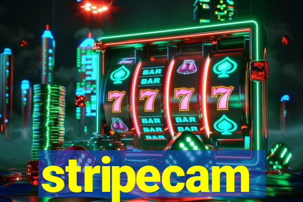 stripecam