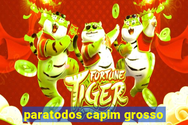 paratodos capim grosso