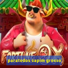 paratodos capim grosso