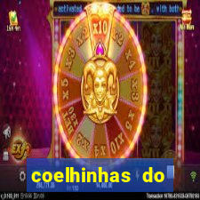 coelhinhas do brasil acompanhantes