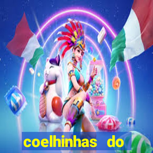 coelhinhas do brasil acompanhantes