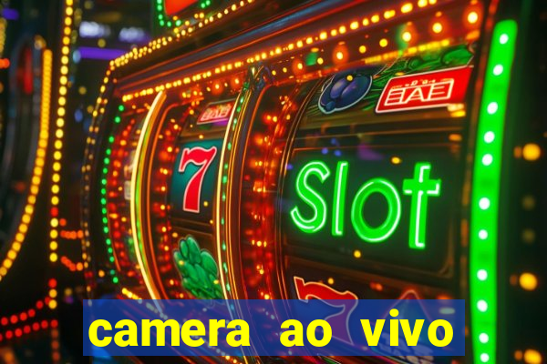 camera ao vivo terminal vila nova cachoeirinha