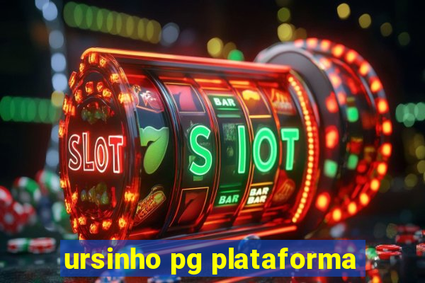 ursinho pg plataforma