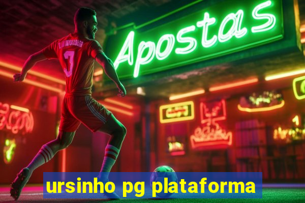 ursinho pg plataforma