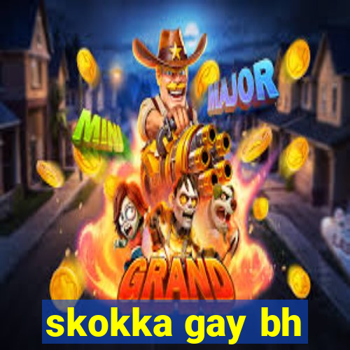 skokka gay bh