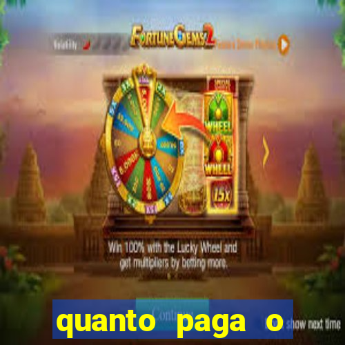 quanto paga o jungle fight