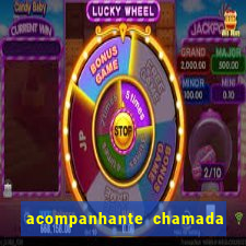 acompanhante chamada de video