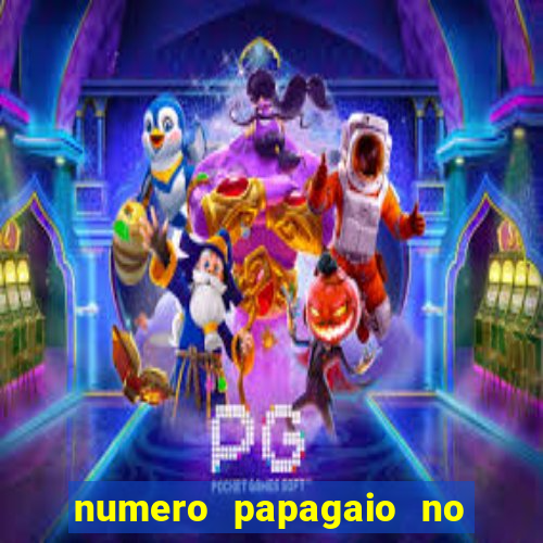 numero papagaio no jogo do bicho