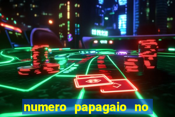 numero papagaio no jogo do bicho