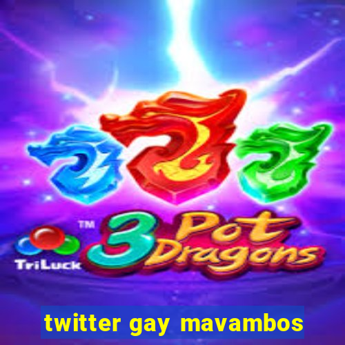 twitter gay mavambos