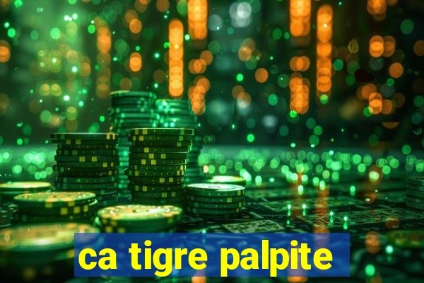 ca tigre palpite