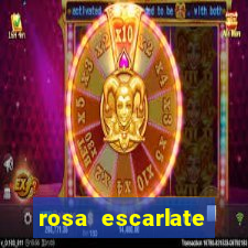 rosa escarlate ragnarok quest