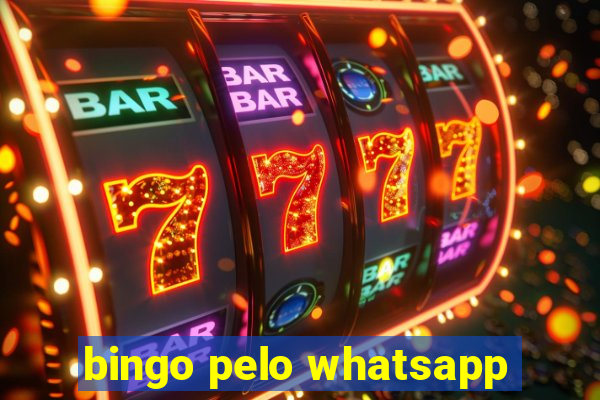 bingo pelo whatsapp