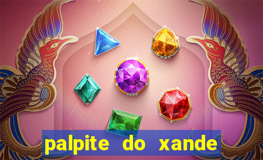 palpite do xande para hoje