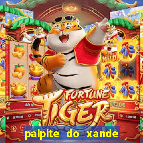 palpite do xande para hoje