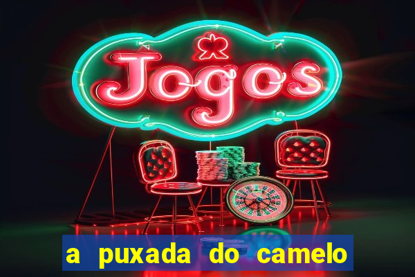 a puxada do camelo no jogo do bicho