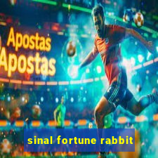 sinal fortune rabbit