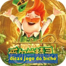 dicas jogo do bicho